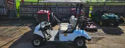 2019 Yamaha Golf Cart