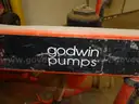 Godwin Trash Pump