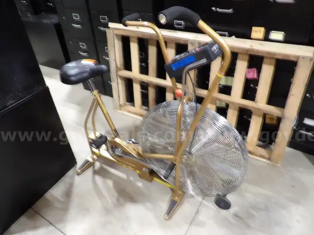 Schwinn Air-Dyne Stationary Exercise Bicycle