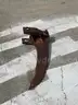 2-11 Case Loader Backhoe 590 Super N