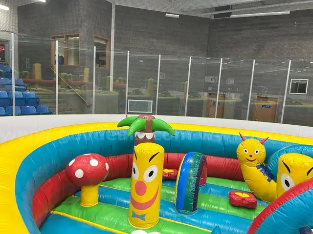 Inflatable play structure