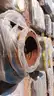 Approximately 17,76 Metric Tons Of Various Welded Pipe Fittings