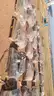 Various Specification and Sizes Gate Valves.
