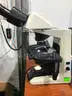 Nikon Eclipse E200 Microscope with 4/10/100 Objectives
