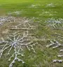 Large Angel &#x26; Snowflake Lighted Christmas Displays