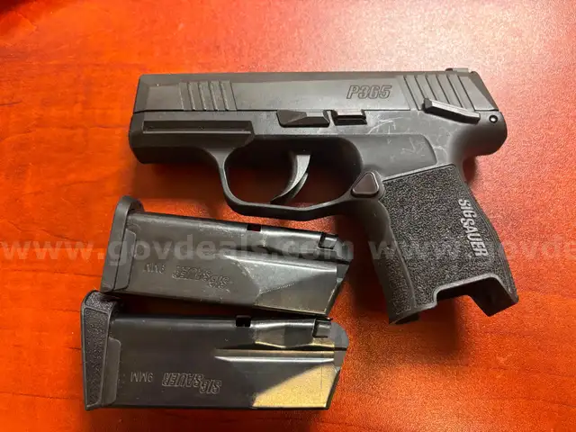 Sig Sauer P365 9MM/2 Magazines