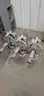 G9B S600 Soot blowers