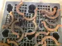 Intap-Pro Mdl. 2000 Extruder