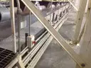 80ft by 10in  Screw auger