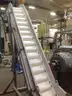 Mobile Conveyor