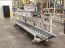 Fischbein Mdl. PILS 300 Inline bag sealer with conveyor