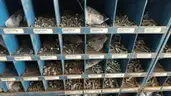 Workshop Storage Cabinets with Hardware &#x26; Hand Tools