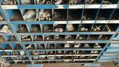 Workshop Storage Cabinets with Hardware &#x26; Hand Tools