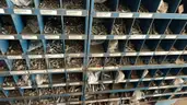 Workshop Storage Cabinets with Hardware &#x26; Hand Tools