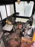 Trackmobile 4300 TM Railcar Mover