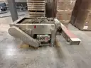 Reeves Conveyor gear motor