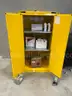 AGENT Flammable Storage Safety Cabinet