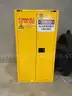 AGENT Flammable Storage Safety Cabinet