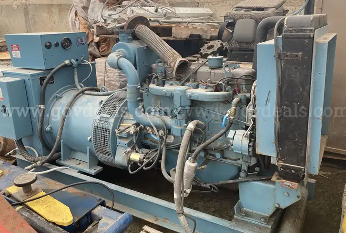 Natural Gas Power Backup Generator