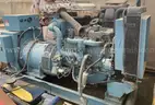 Natural Gas Power Backup Generator