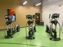 Elliptical Trainer - Commercial Grade Battery Operated (1 Unit)
