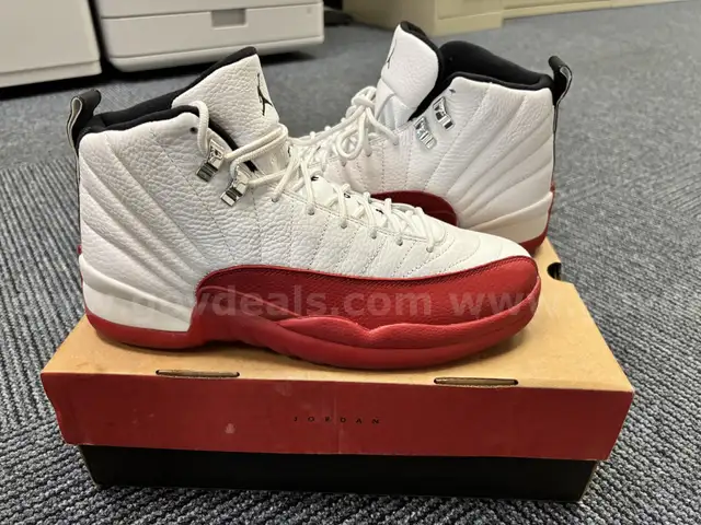 Air Jordan 12 Retro Tennis Shoes