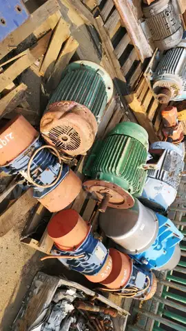 Electrical Motors