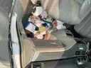 2005 Honda Odyssey