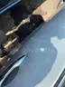 2020 Nissan Maxima