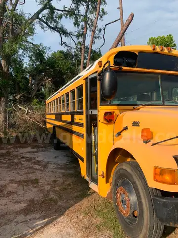 Used School Bus   Passenger 66