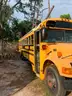 Used School Bus   Passenger 66