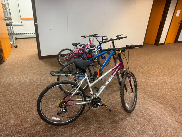 Lot (4) Bikes