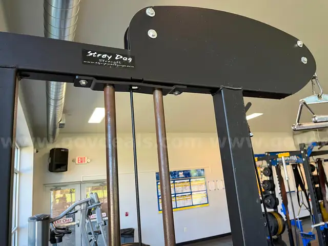 2 Stray Dog Fitness Lat Pull / Row Machines