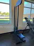 2 Stray Dog Fitness Lat Pull / Row Machines