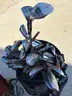 Lot of 600 Golf Clubs (with 15 golf bags)