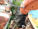 Ford Tractor 3910