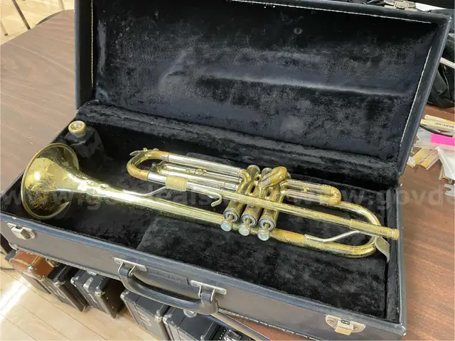 Lot of Trumpets (3)