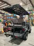 UNUSED 2025 IRGC80 GOLF CART, ELECTRIC