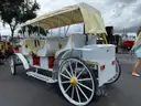 2025 SPIRIT HORSELESS ELECTRIC CARRIAGE, 7 SEATS