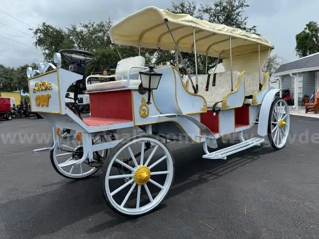 2025 SPIRIT HORSELESS ELECTRIC CARRIAGE, 7 SEATS