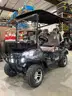 NEW 2025 SDLANCH ELECTRIC GOLF CART MODEL SDLGC80, 4 PASSENGER
