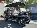 NEW 6 SEATER 2025 SDLANCH GOLF CART MODEL SDLGC100