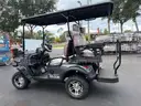 NEW 2025 SDLANCH GOLF CART MODEL SDLGC80