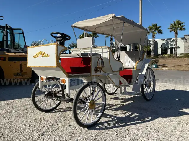 NEVER USED 2025 ELECTRIC HORSE CARRIAGE MODEL MCE, 60V