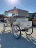 NEVER USED 2025 ELECTRIC HORSE CARRIAGE MODEL MCE, 60V