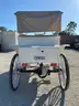 NEVER USED 2025 ELECTRIC HORSE CARRIAGE MODEL MCE, 60V