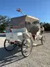 NEVER USED 2025 ELECTRIC HORSE CARRIAGE MODEL MCE, 60V