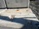 200 Concrete Blocks