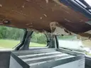 2000 Dodge Caravan SPORTS VAN, 3.3L V6 OHV 12V.