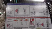 The Gun Shoot Away basketball machine